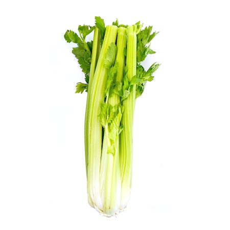 Australia Celery 澳洲芹菜