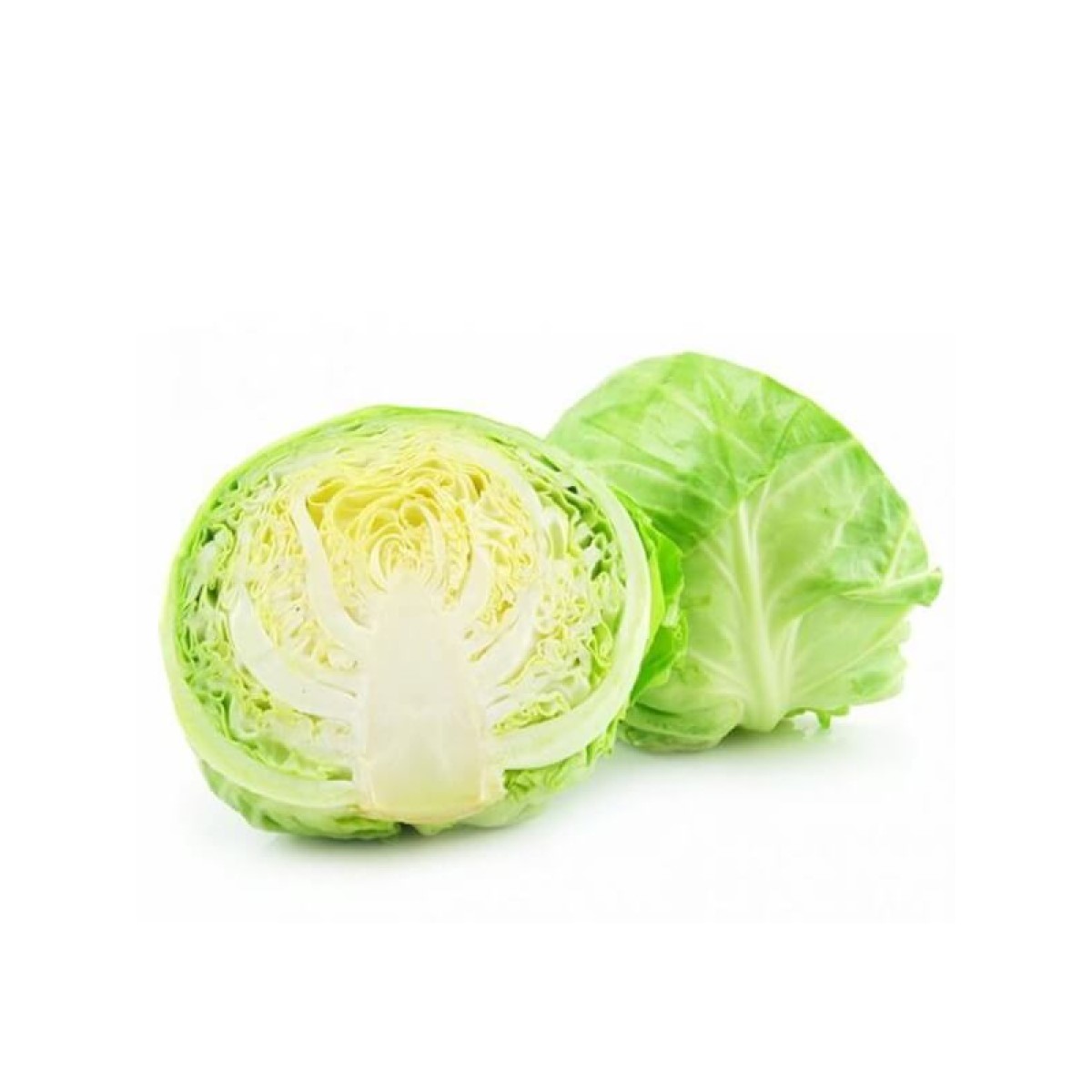 Beijing Cabbage 北京包菜