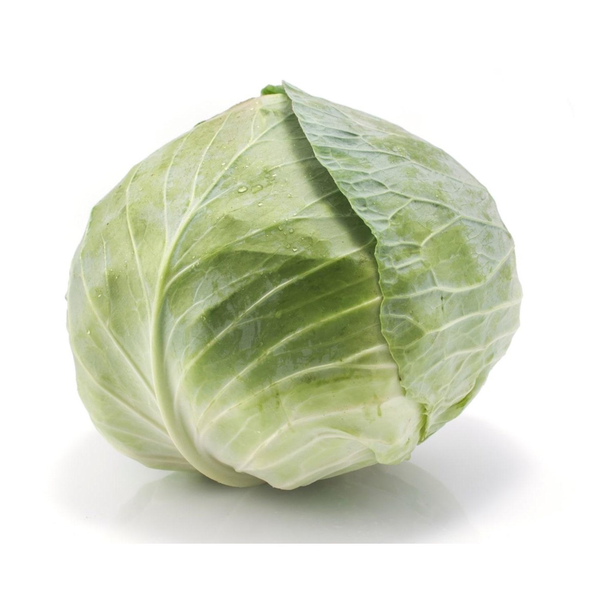 Beijing Cabbage 北京包菜 - Image 2