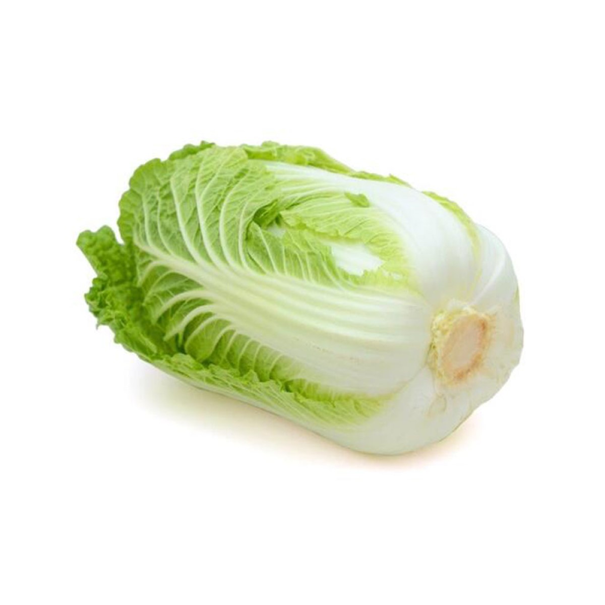 Long Cabbage 大白菜 - Image 2