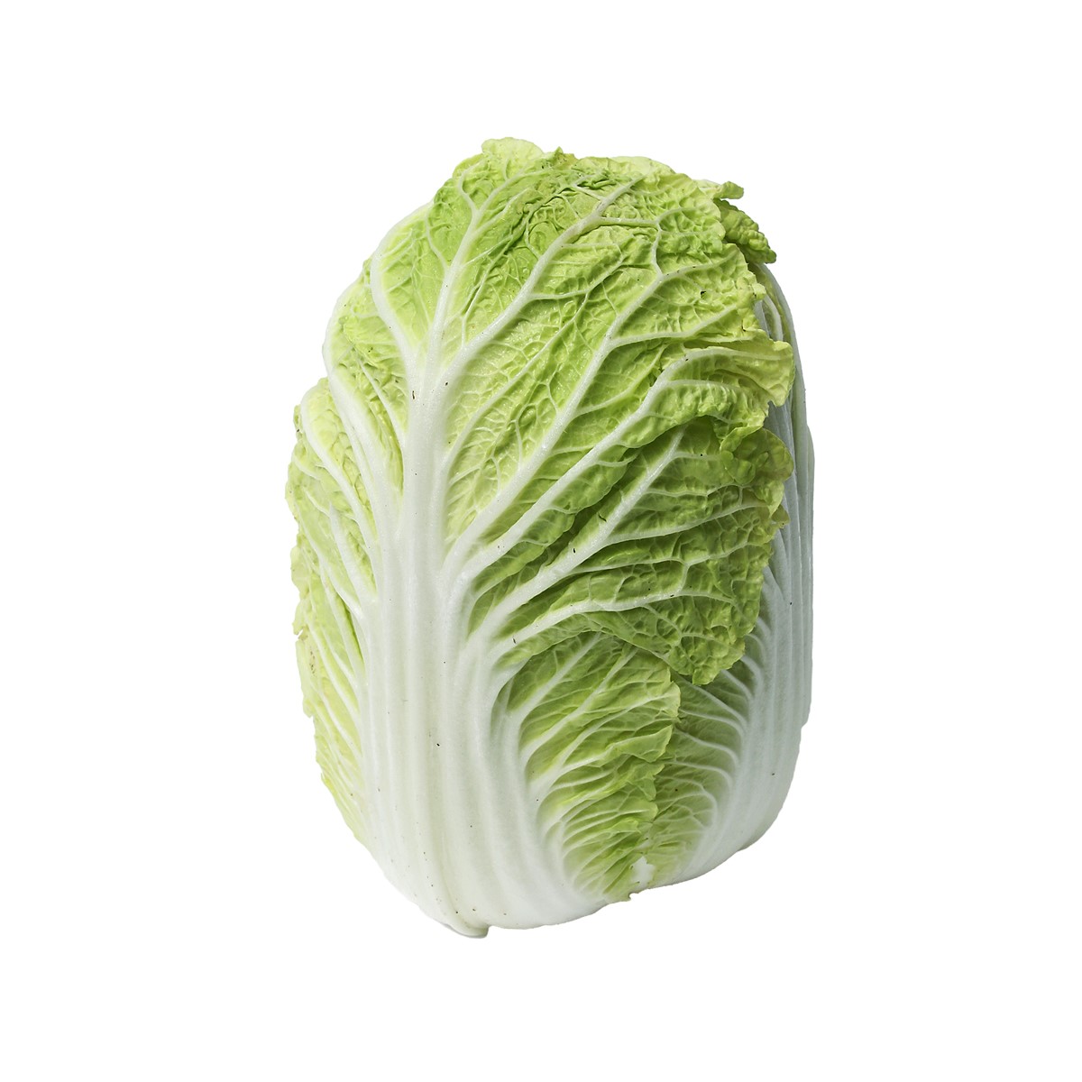 Long Cabbage 大白菜