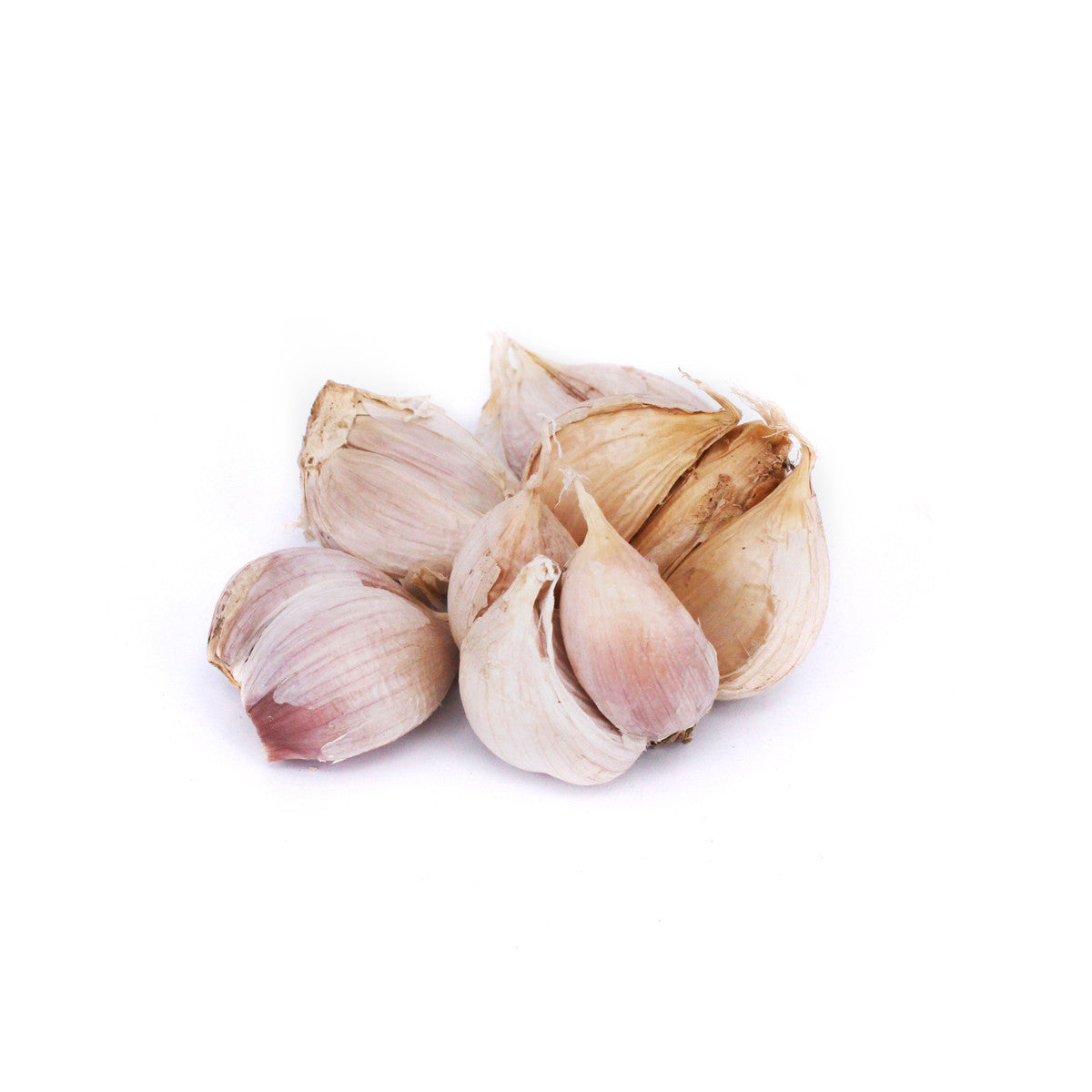 Garlic Clove 蒜头